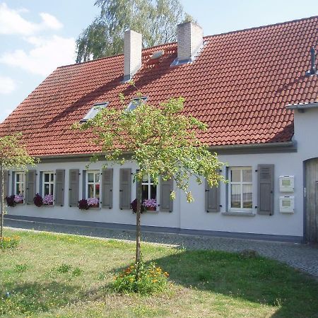 Eg Die Alte Stadtmuehle Von Kloster Zinna Jüterbog Kültér fotó
